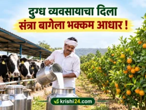 Dairy farming