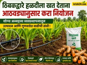 Drip irrigation