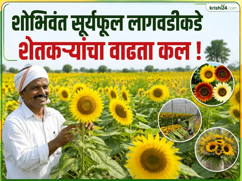 Farmers showing