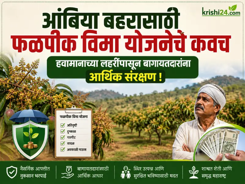Fruit Crop Insurance