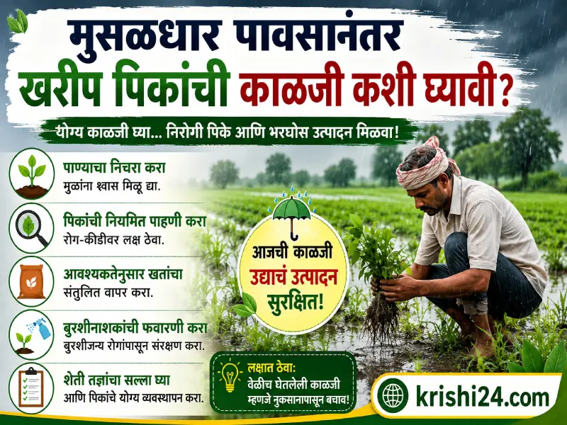 Kharif crops
