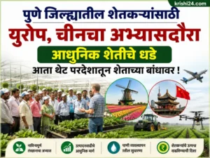 Modern agriculture