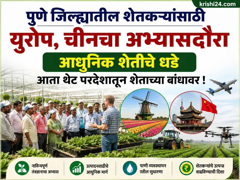 Modern agriculture