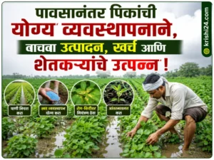 Rain crop management