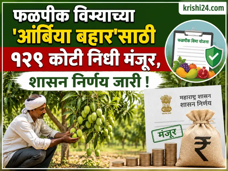 crop insurance