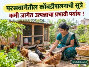Guidelines for backyard poultry farming
