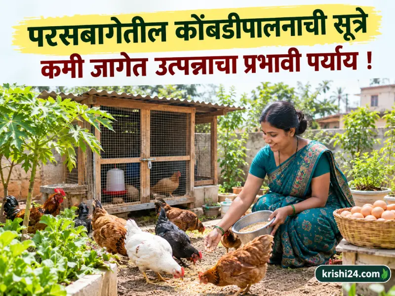 Guidelines for backyard poultry farming