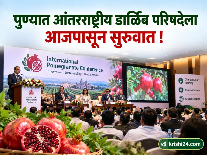 International Pomegranate