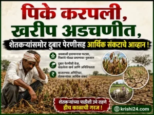 Kharif season