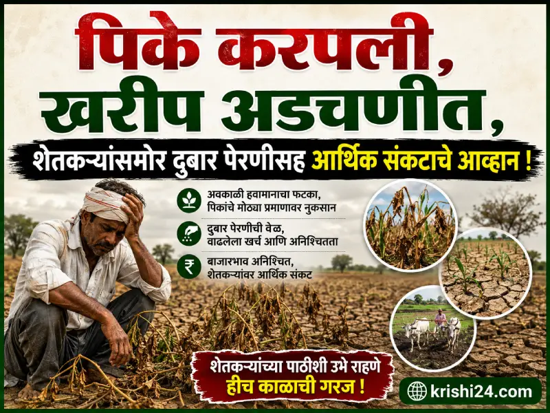 Kharif season