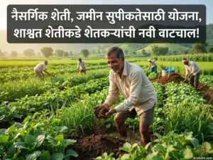 Soil fertility schemes