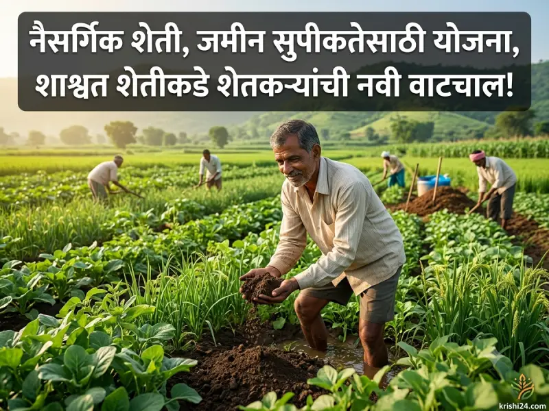 Soil fertility schemes