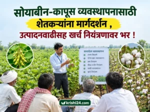 Soybean and cotton management