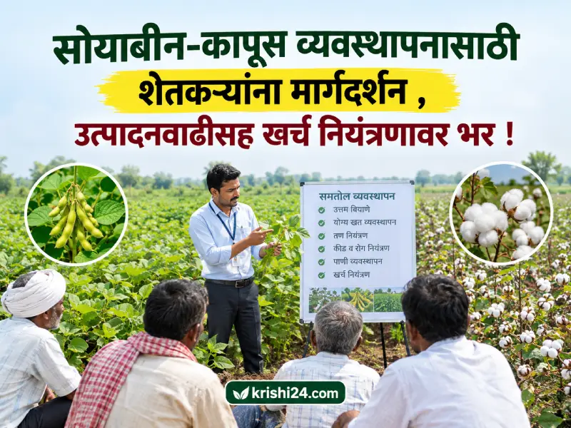 Soybean and cotton management