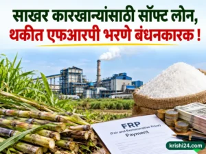 Sugar factories