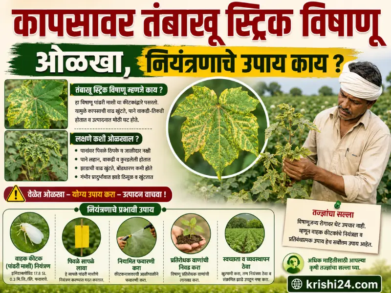 Tobacco Streak Virus