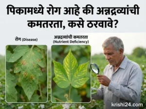 crop issue