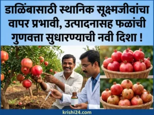 microorganisms for pomegranates
