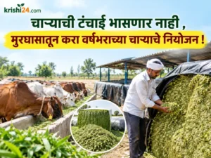 supply using silage