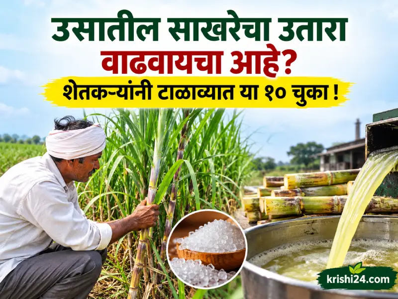 Farmers avoid mistakes