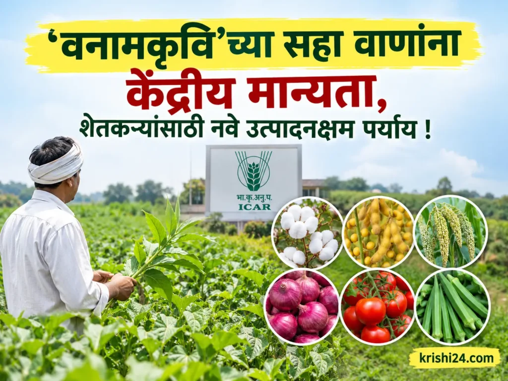 Farmers yielding options