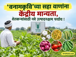 Farmers yielding options