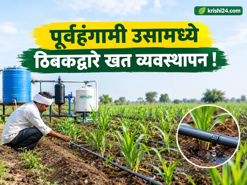 Fertilizer management