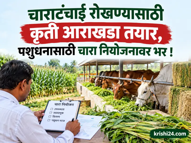Fodder shortage