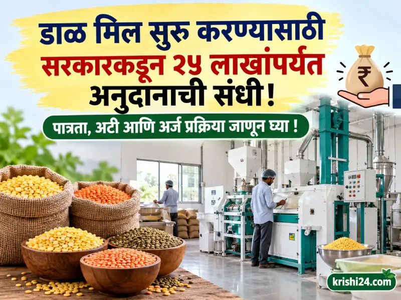 Government subsidy