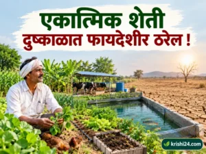 Integrated farming