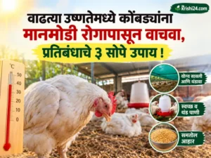 Newcastle disease