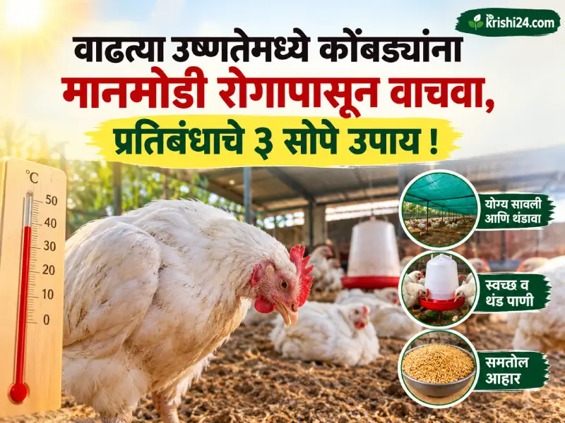 Newcastle disease