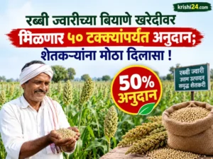 Rabi Sorghum Seed Subsidy News