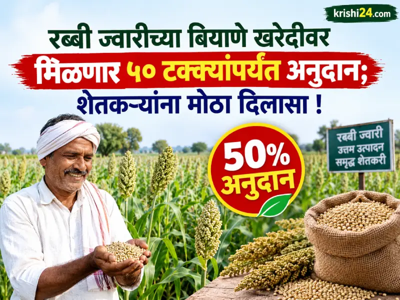 Rabi Sorghum Seed Subsidy News