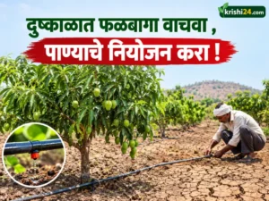 Save orchards