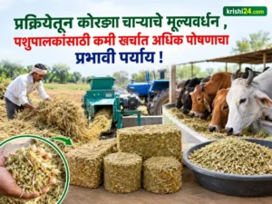 livestock farmers
