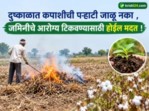 maintain soil health