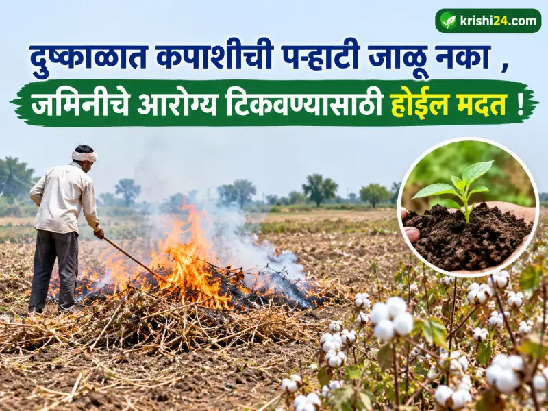 maintain soil health